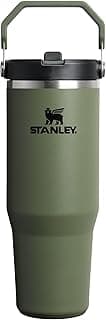 Stanley IceFlow 2.0 Flip Straw Tumbler with Handle 30 oz | Twist On Lid and Flip Up Straw | Leak Resistant Water Bottle | Insulated Stainle...